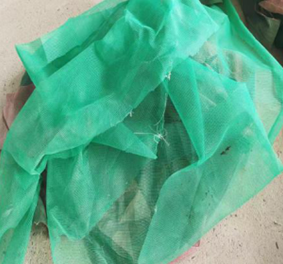 ��(d��o)���W(w��ng)